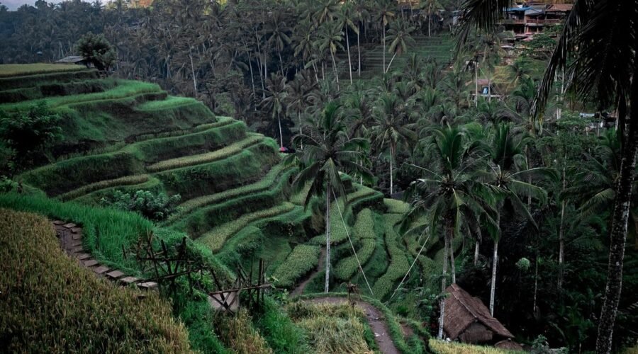 WhatsApp Image 2025-11-26 at 13.02.03